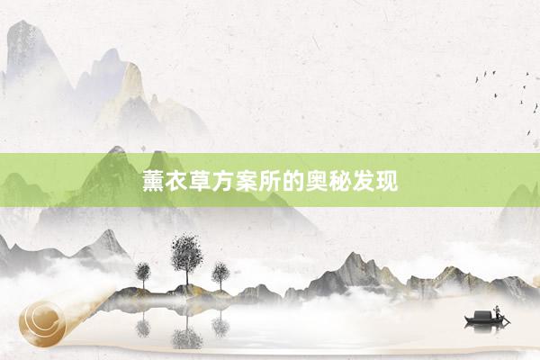 薰衣草方案所的奥秘发现